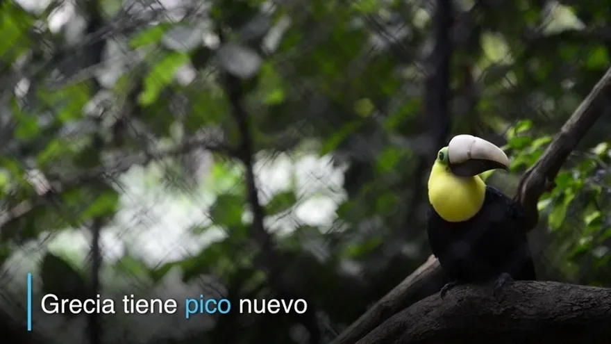 Un nuevo pico para Grecia