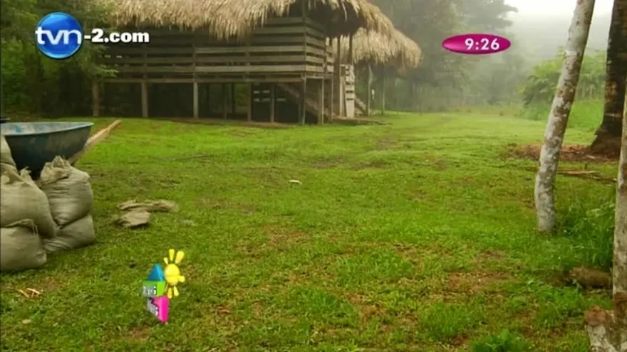 Conociendo las granjas de la Fundación Pro Niños del Darién