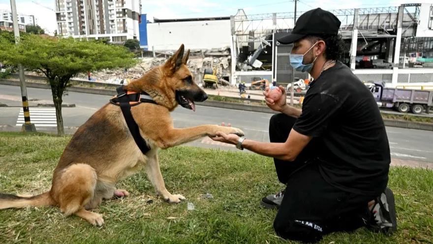 ‘A dream come true’: Earthquake survivors reunite with pets in Colombia