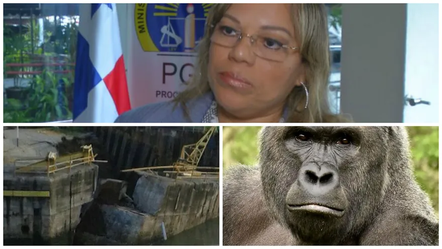 Lo que debes leer antes de dormir