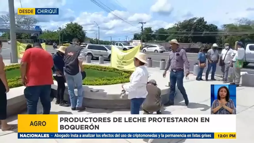 Productores de leche en Chiriquí protestan