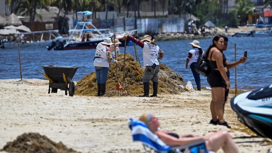 Empty beaches and 'unbearable smell': Mexico fights a tough battle against sargassum