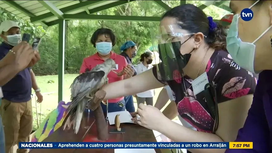 Mundo Verde: Inclusión para apreciar aves