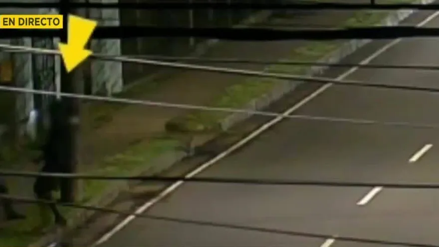 Preocupación en David por asaltos y hurtos