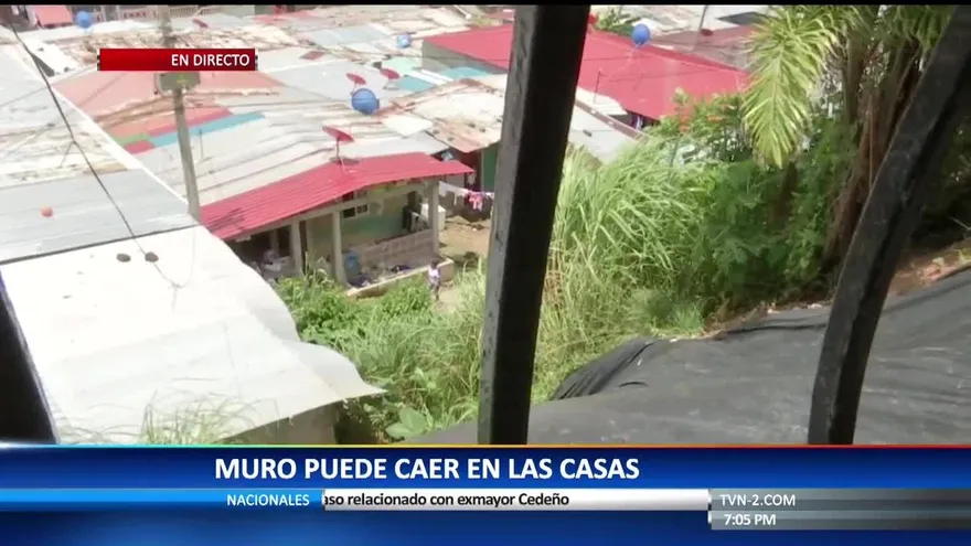 Desalojan a familia luego de colapso de árbol