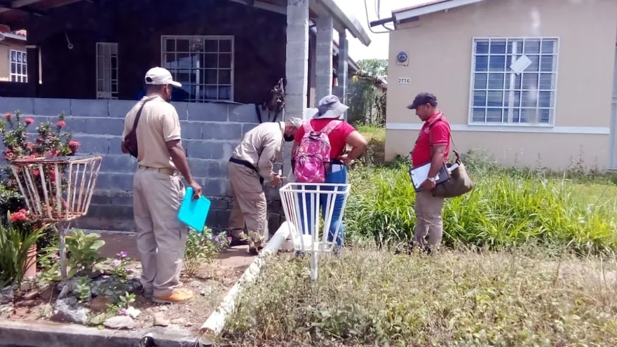 El Minsa se encarga de realizar inspecciones para reducir la proliferación del mosquito transmisor del dengue.