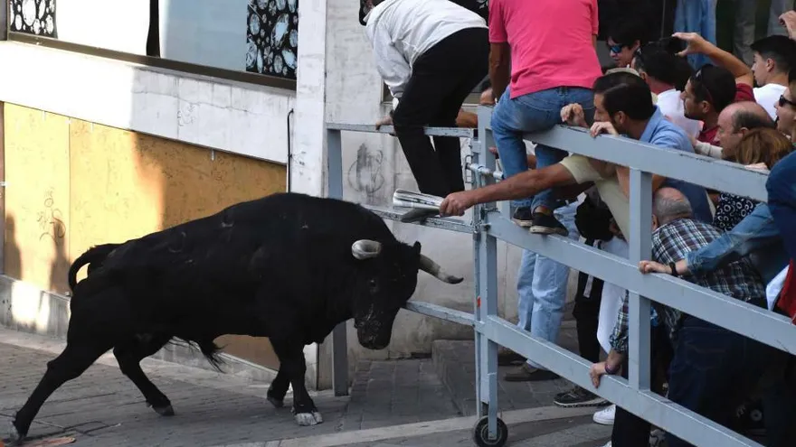 Hombre muere corneado en encierro de toros en España