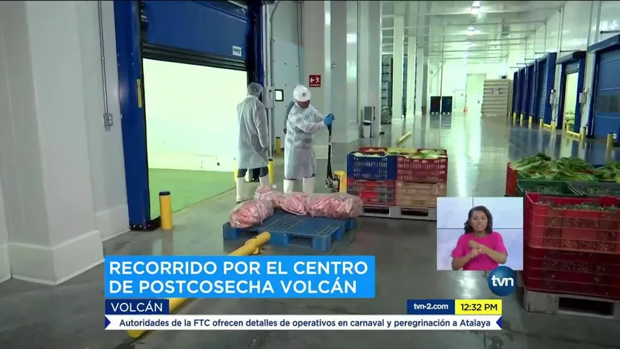 ¿Cómo operan los centros post cosecha?