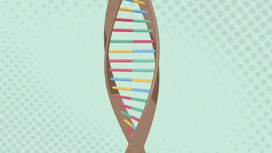 Videografía: ¿Qué es el ADN?
