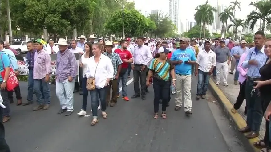 Productores de arroz marchan a la Presidencia