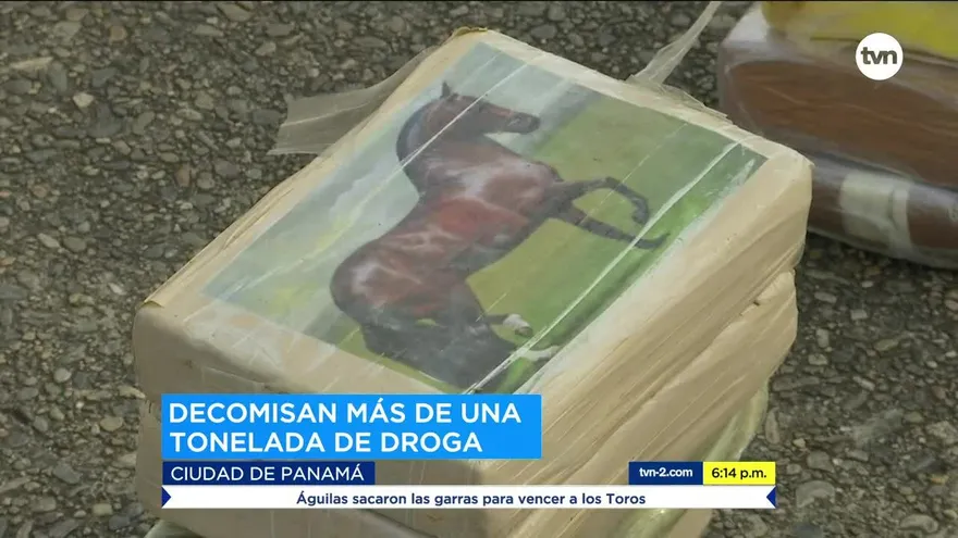 Senan incauta 1,247 paquetes de presunta droga al este de Isla Chapera