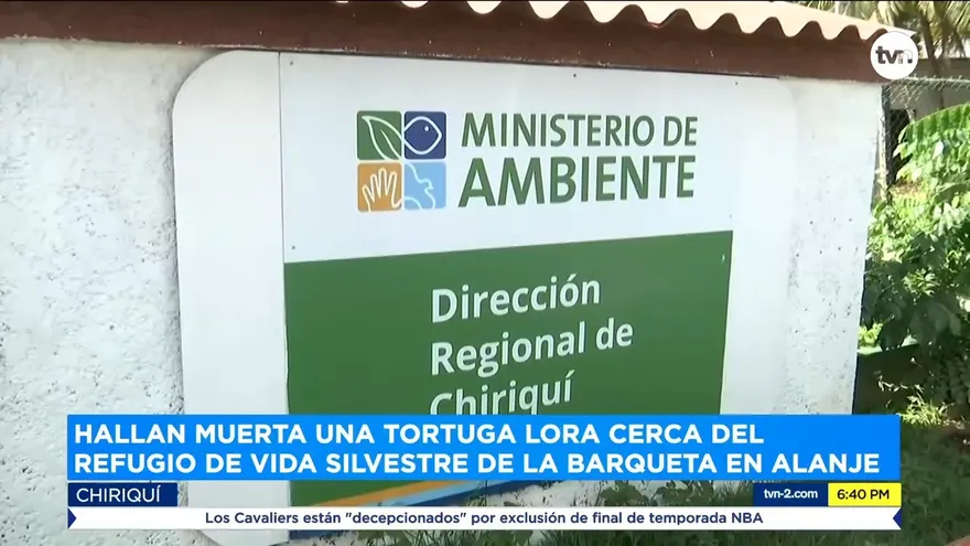 MiAmbiente investiga muerte de especie protegida