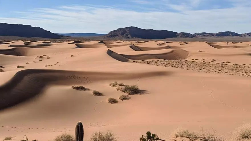 Desierto de Arizona