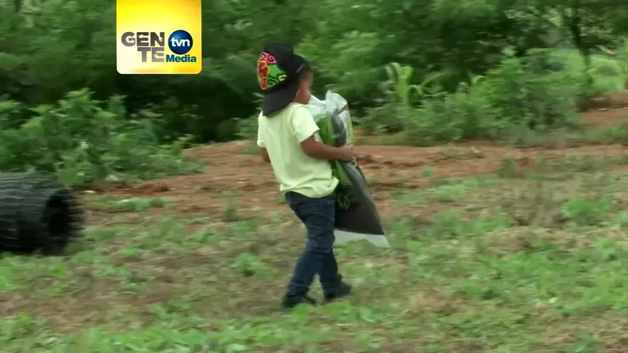 Especial Gente TVN mes de Agosto