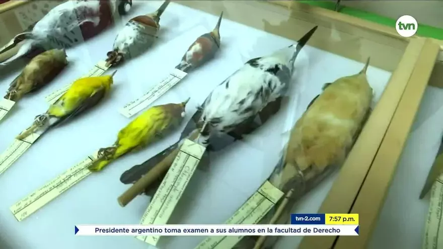 Mundo Verde: La colección de aves que es de gran importancia para el mundo