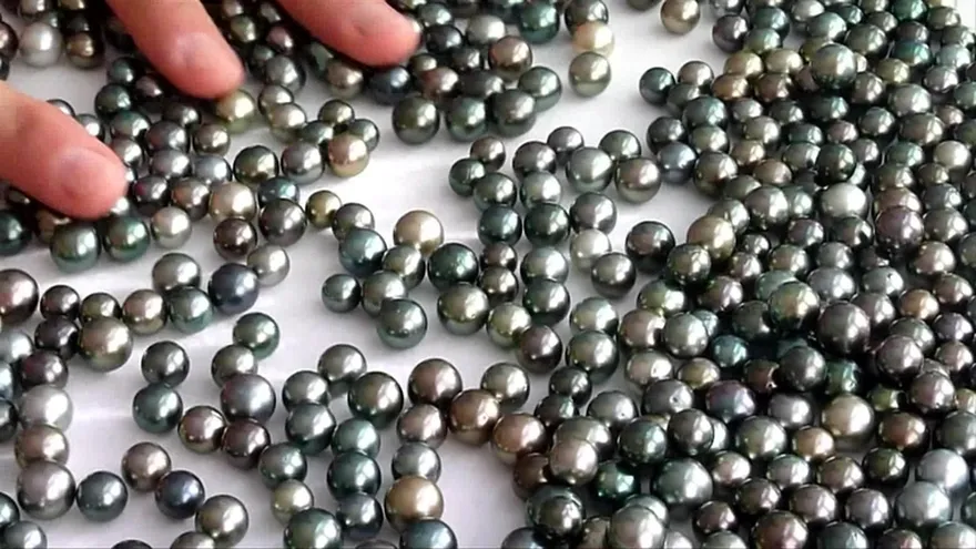 Las perlas de Tahití vulnerables al calentamiento global