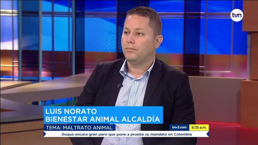 Maltrato animal ¿Qué se está haciendo en Panamá?
