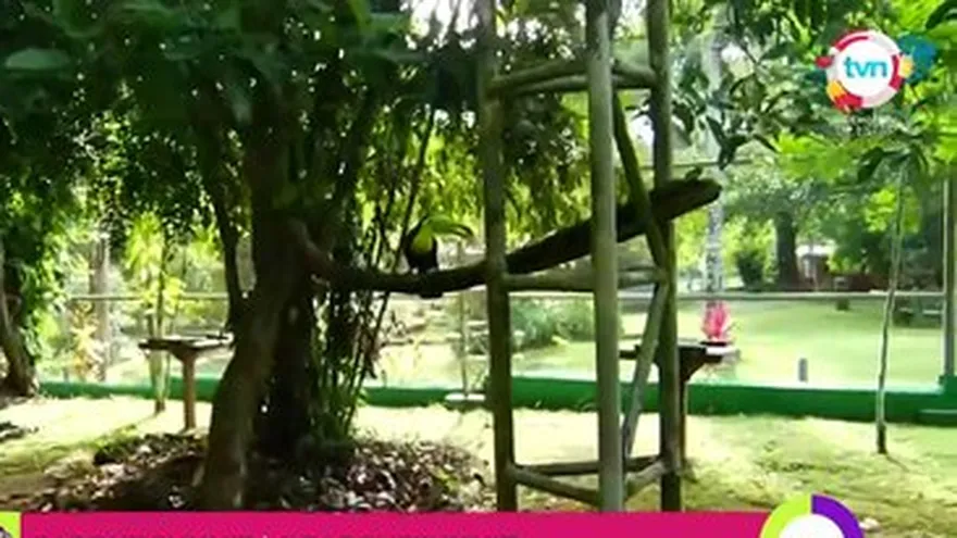 Zule desde el Parque Summit