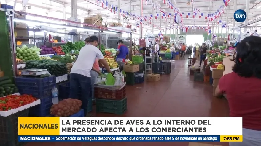 Presencia de aves a lo interno de Merca Panamá