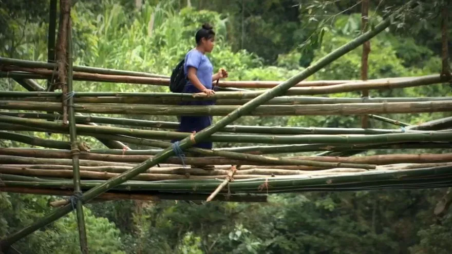 Un puente de bambú en la comarca Ngäbe Buglé.