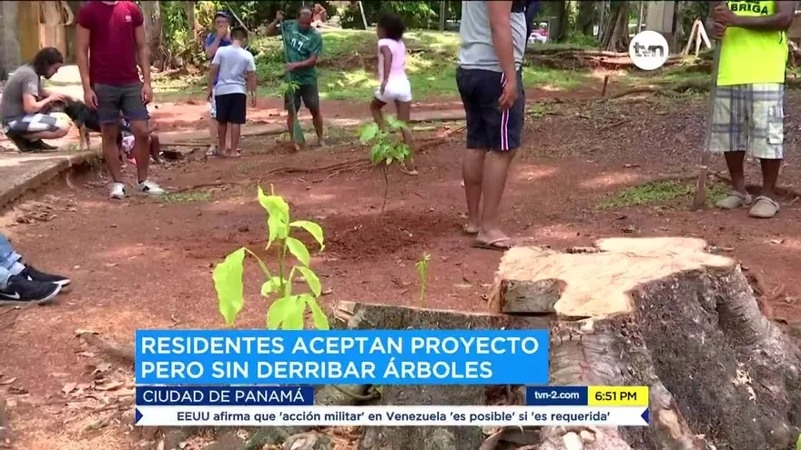 Residentes de Brooklincito hacen siembran simbólica de árboles