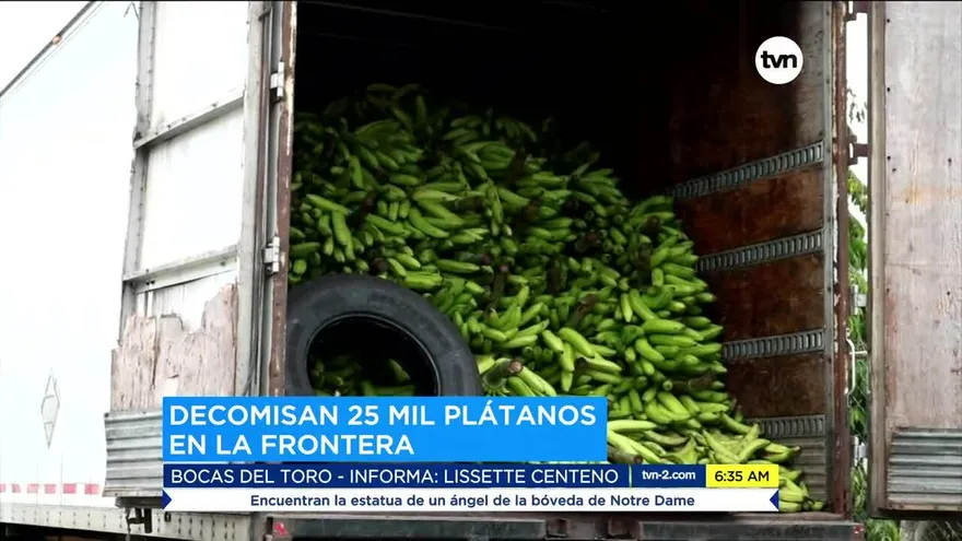 Decomisan 25 mil plátanos en la frontera