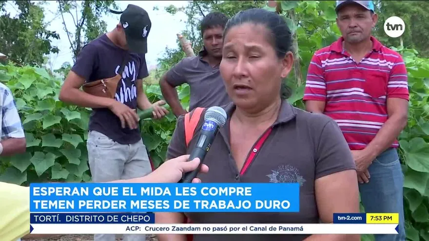 Pequeños productores de hortalizas piden apoyo