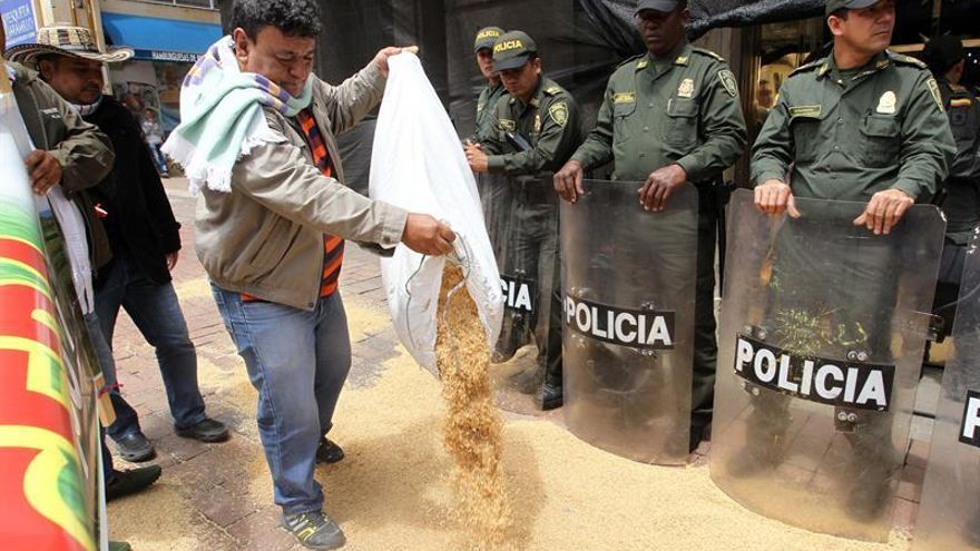 Trabajadores del gremio arrocero tiran la cáscara del grano durante una manifestación.