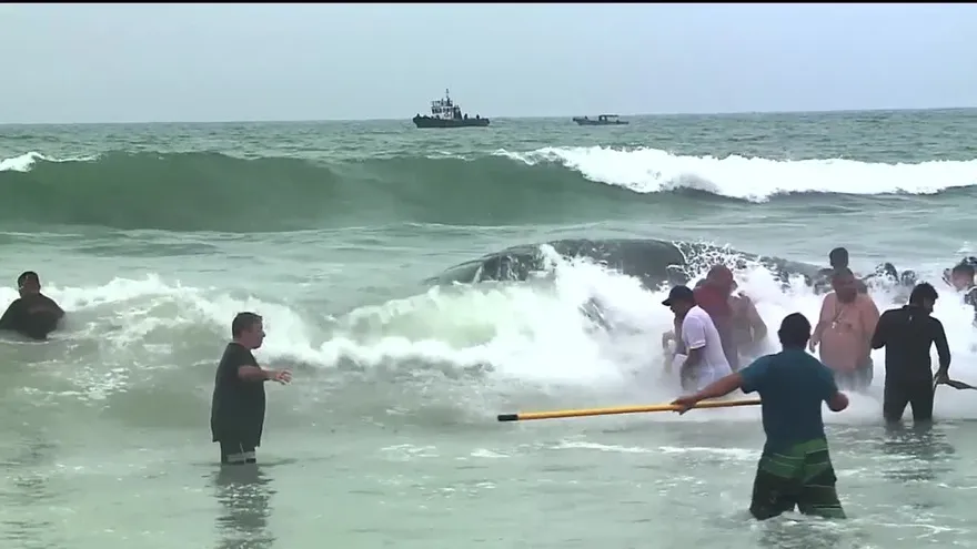 Noticiero AM 25 de julio de 2017 - Bloque 2