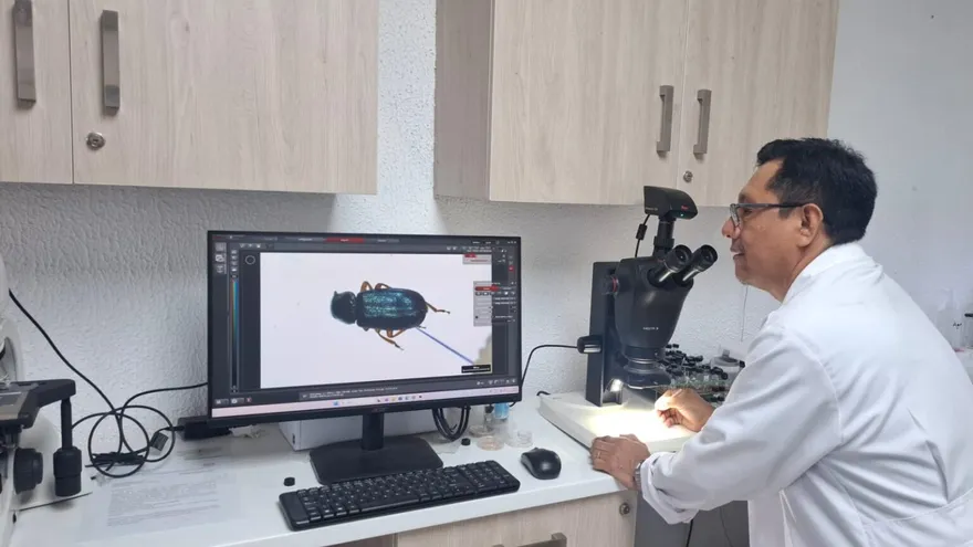 Cuarentena Agropecuaria intercepta 961 plagas en productos importados