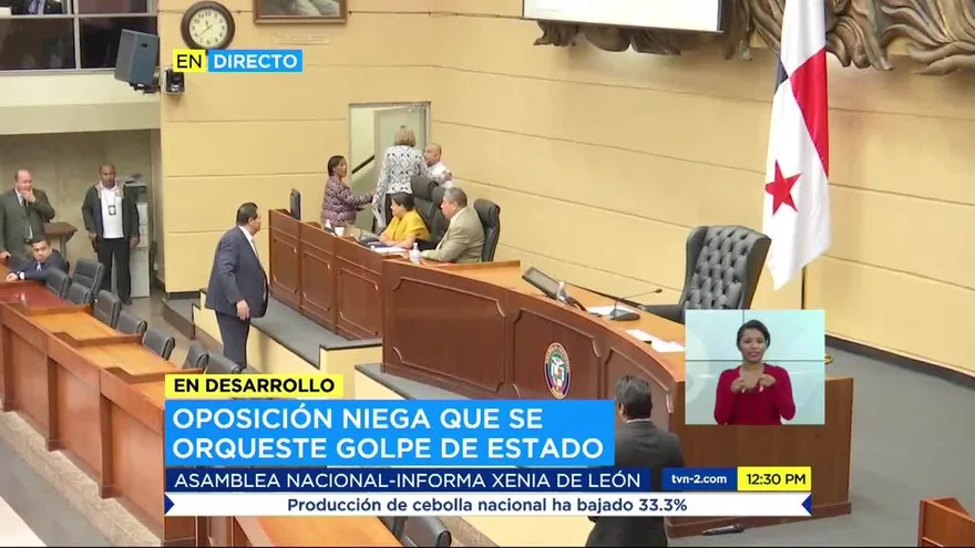 Diputados niegan ‘golpe de Estado’