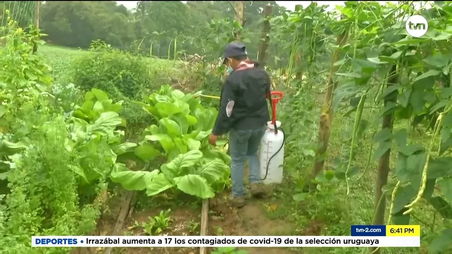 Niño apasionado con la agricultura recibe una sorpresa