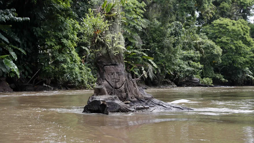 Vista de los canales del Parque Nacional Tortuguero