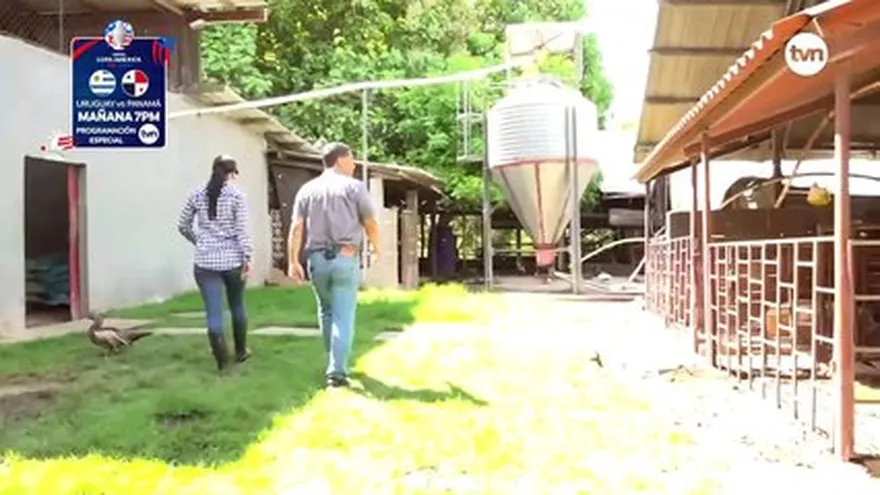 Hecho en Panamá: De finca en finca