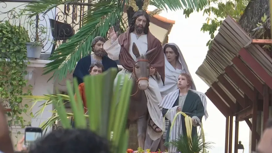 Celebran la procesión de la Borriquita en Casco Antiguo