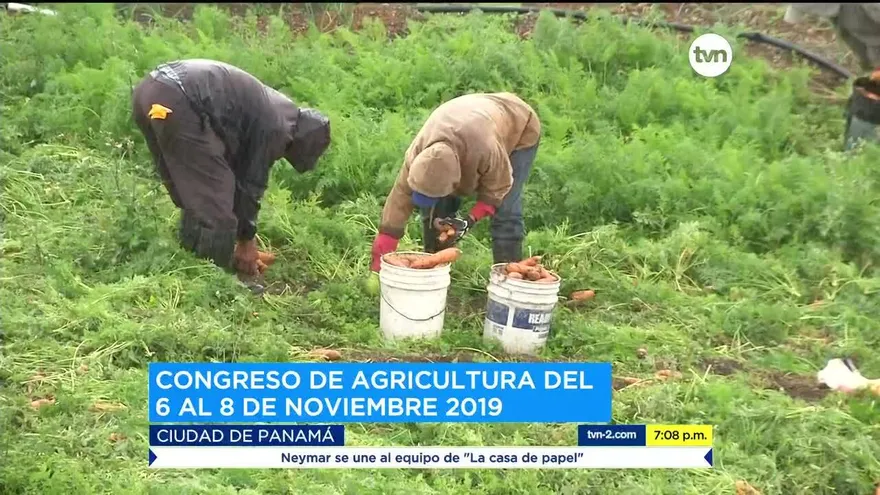 Panamá se prepara para nuevas técnicas en la agricultura