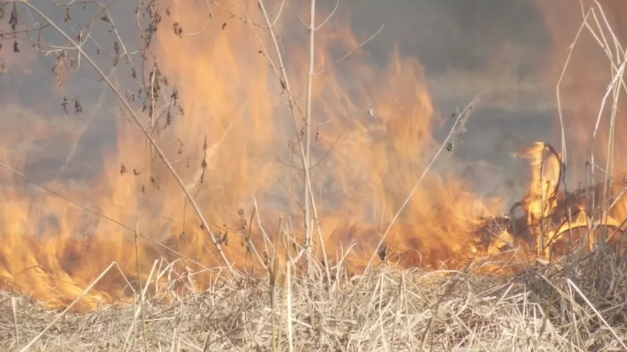 Datos satelitales identifican cuándo y dónde hay más incendios en Panamá