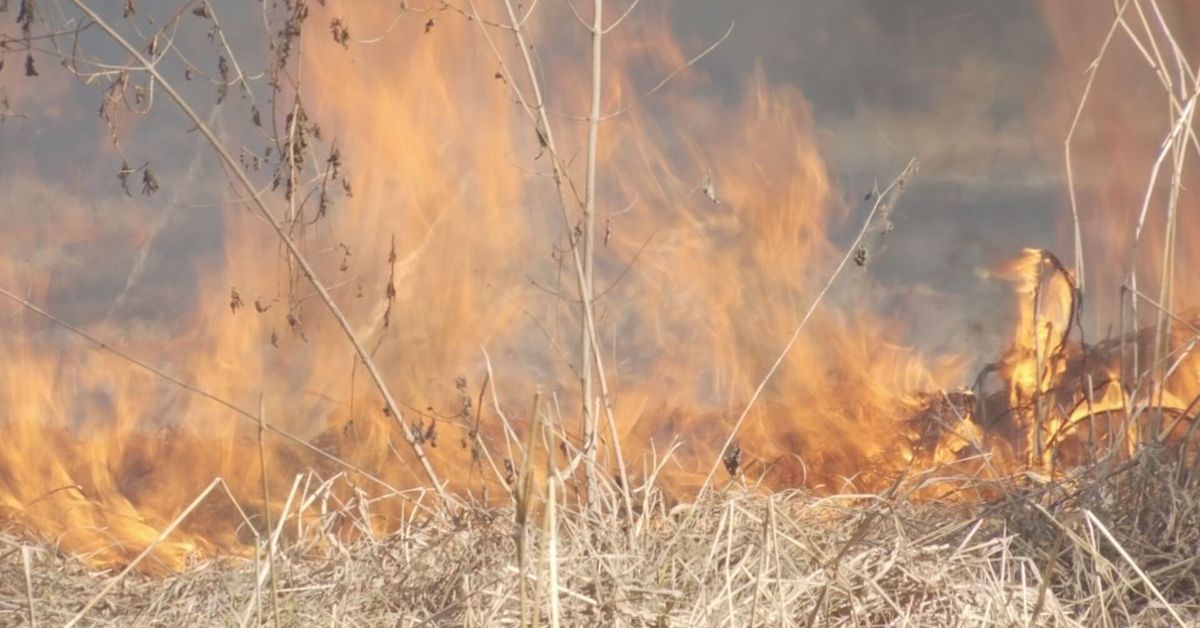 Datos satelitales identifican cuándo y dónde hay más incendios en Panamá