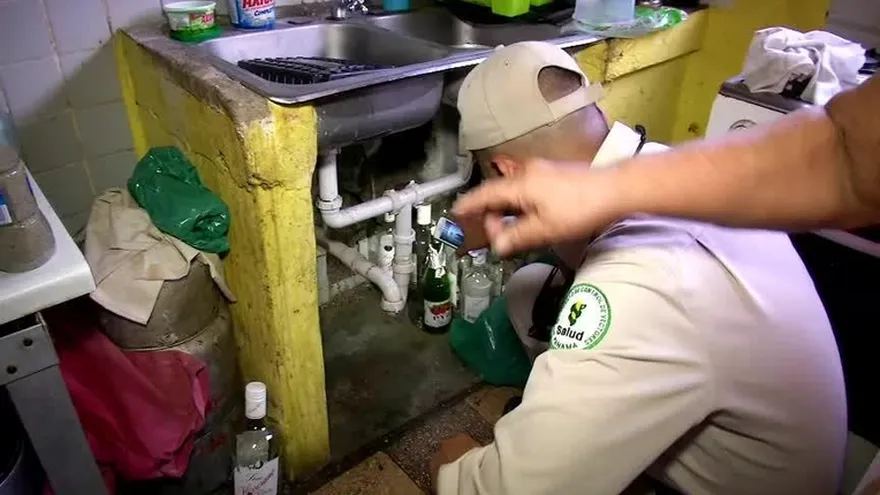 Aumentan a 65 casos de zika en Panamá