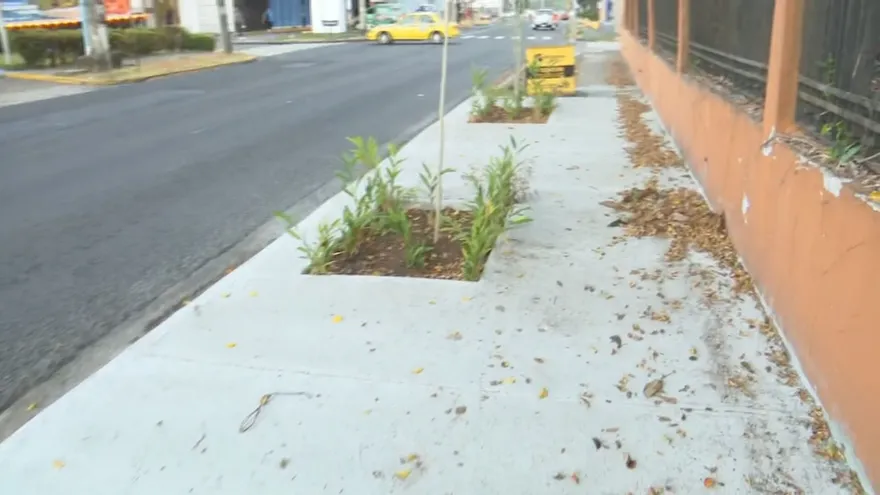 La Junta Comunal de Betania inicia proyecto para acomodar aceras.