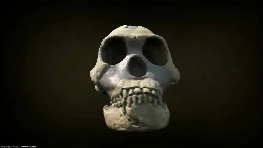 El Homo naledi, el misterioso eslabón de la evolución humana