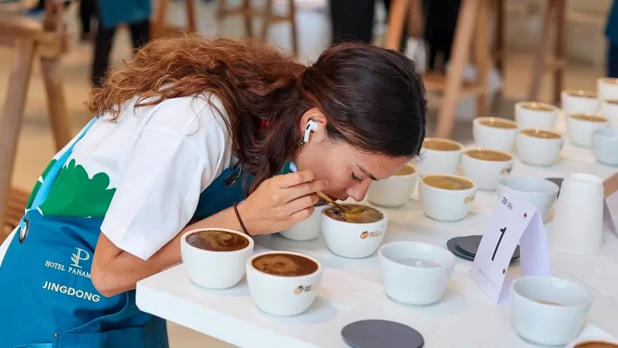 Jueces internacionales llegan al distrito de Boquete para 'The Best Of Panamá'