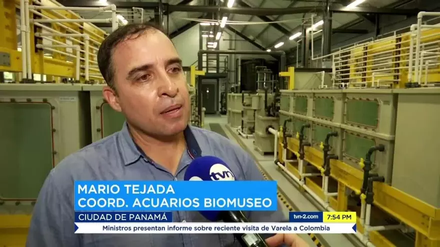 Biomuseo destaca la belleza de los océanos panameños