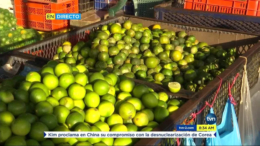 Gran demanda de limón en el mercado panameño
