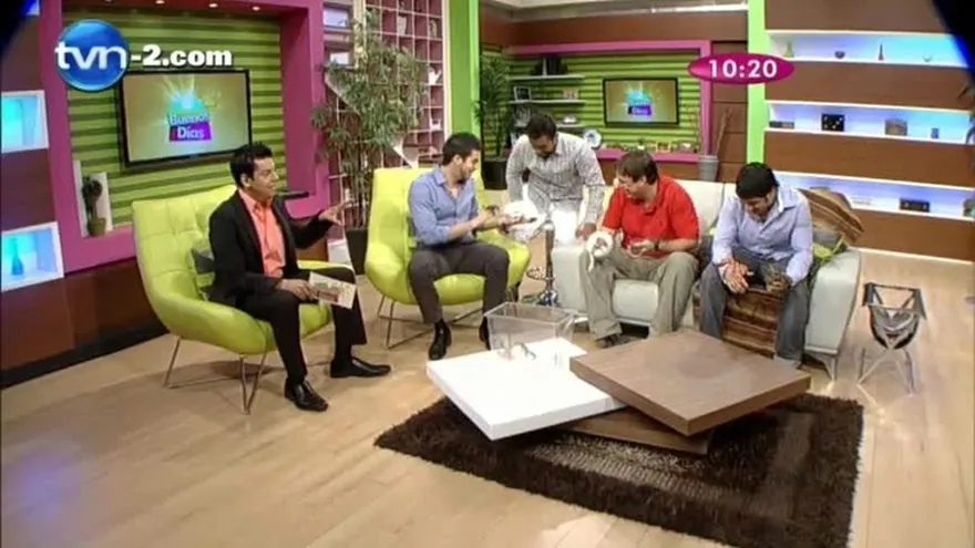 Mascotas – Animales exóticos