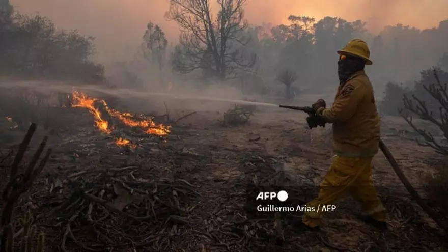 Bomberos combaten incendio en California