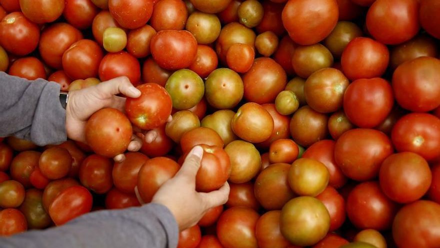 En un comunicado, la CBP anunció que las inspecciones se iniciarán a raíz de una orden emitida la semana pasada por el Servicio de Inspección Animal y Vegetal del Departamento de Agricultura.