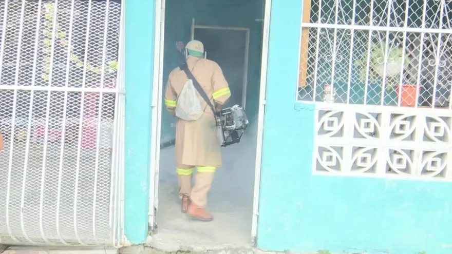 Fumigación en una vivienda