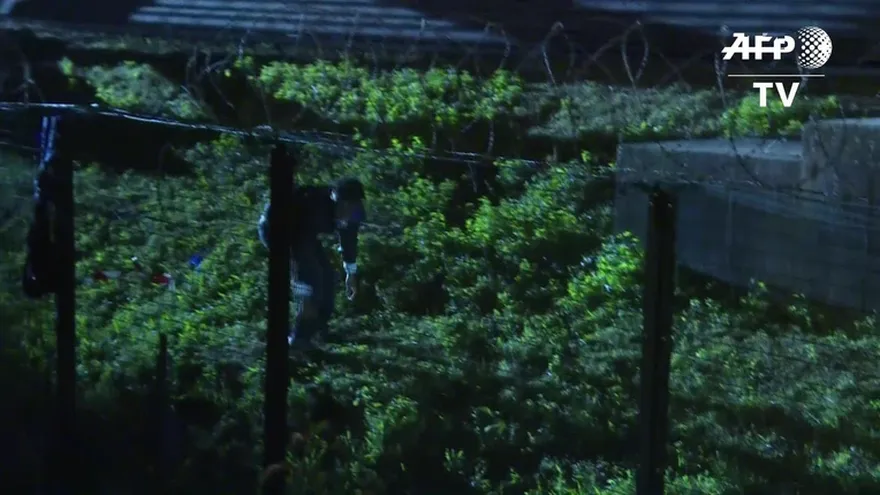 Migrantes rondan el Eurotúnel