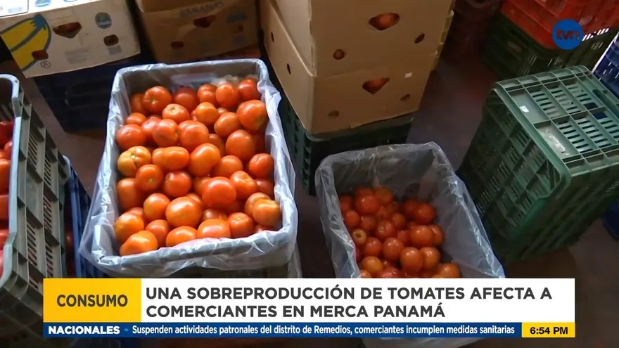 Una sobreproducción de tomates afecta a comerciantes en Merca Panamá